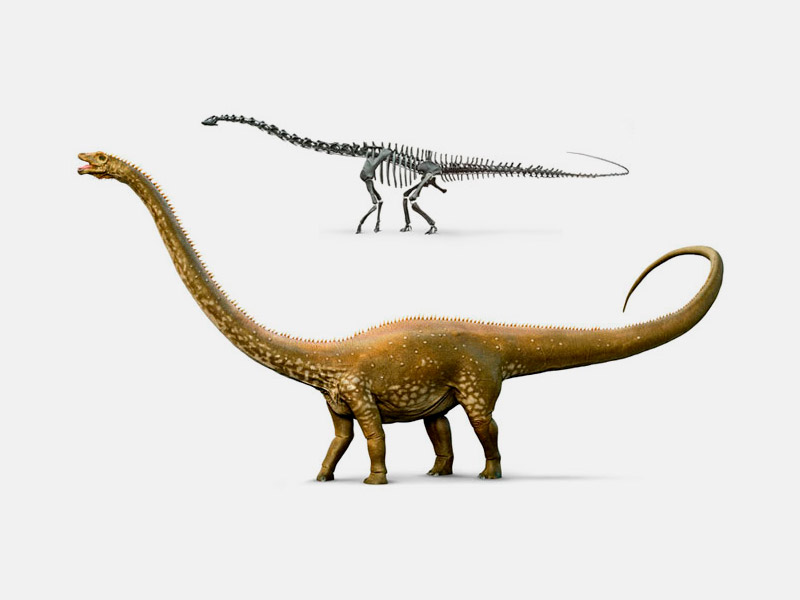 Dinosaurio herbívoro